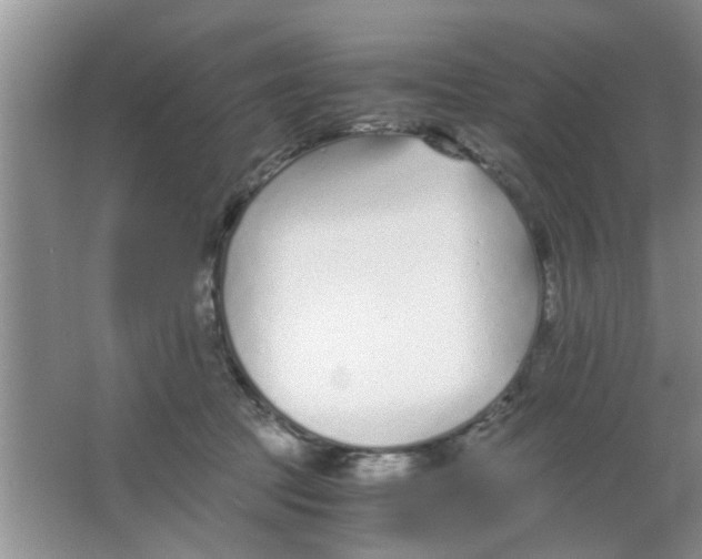 X0000063520369200602101957