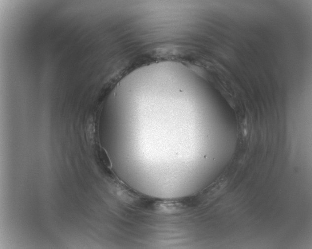 X0000063520372200602101958