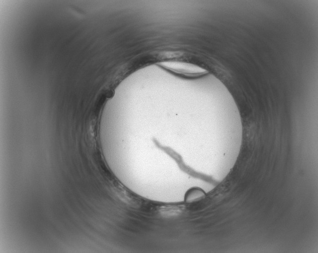 X0000063520373200602101958