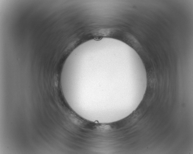 X0000063520374200602101958