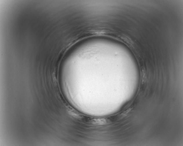 X0000063520377200602101958