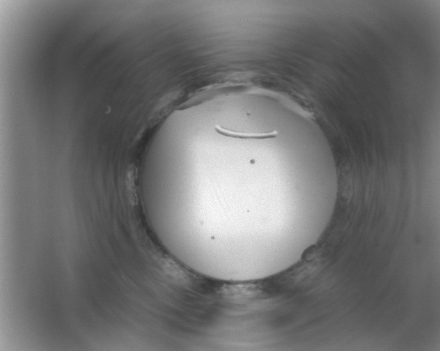 X0000063520378200602101958