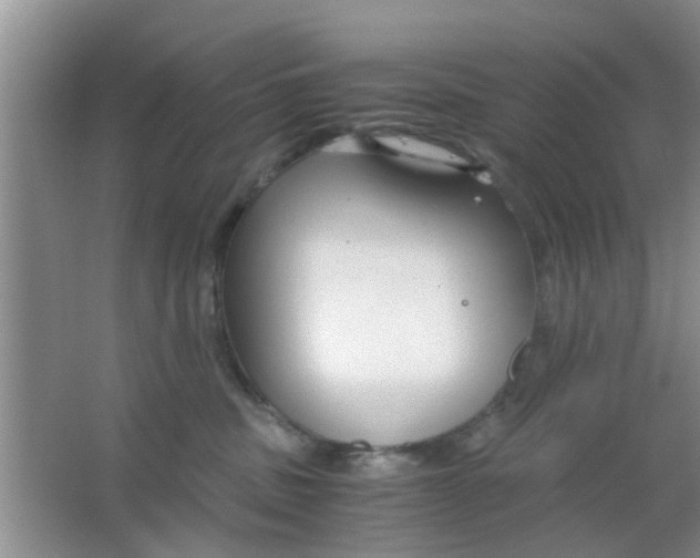 X0000063520379200602101958