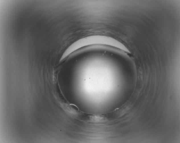 X0000063520380200602101958