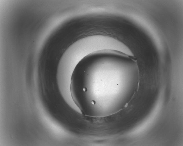 X0000063520382200602101958