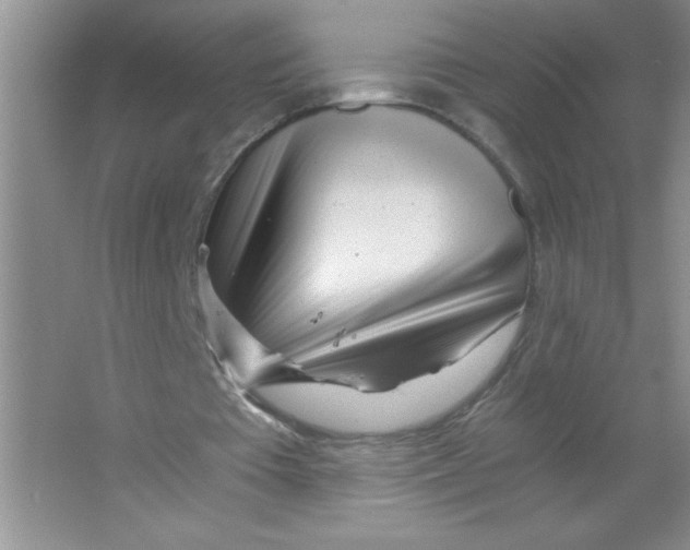 X0000063520385200602101957