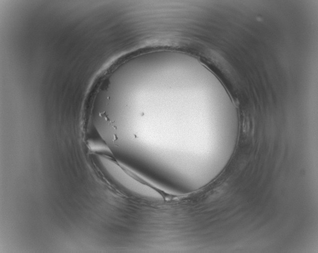 X0000063520388200602101957