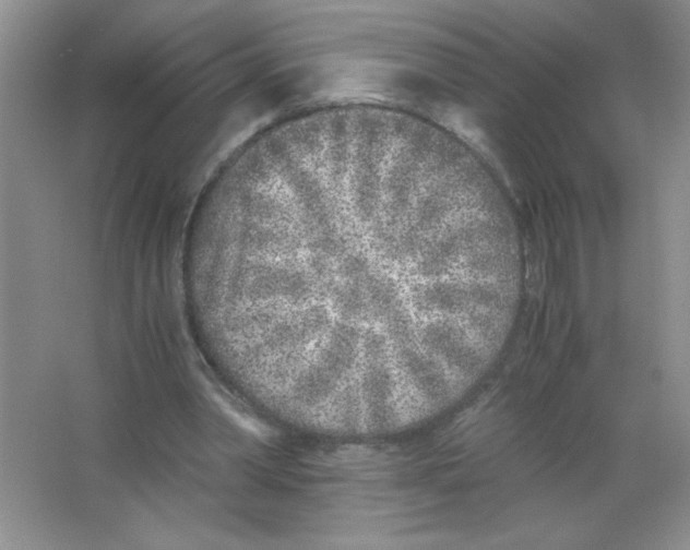 X0000063520390200602101957