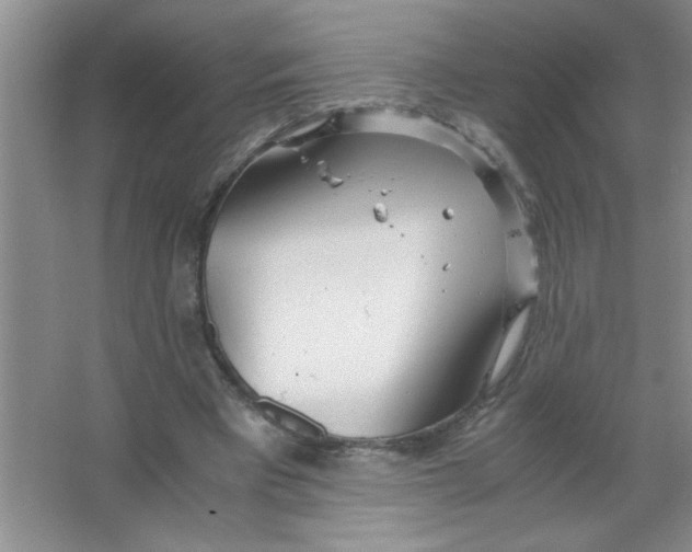 X0000063520393200602101957