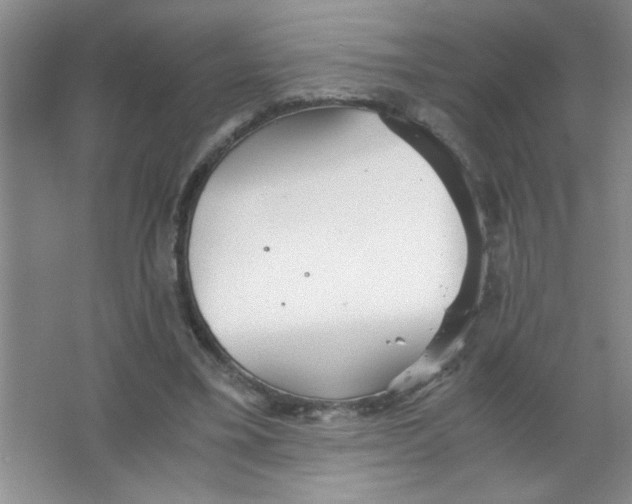 X0000063520395200602101957