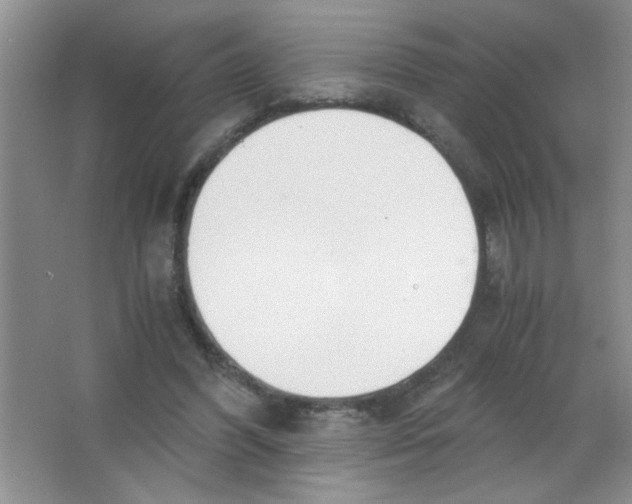 X0000063520396200602101957