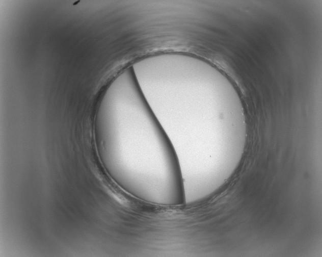 X0000063520397200602101957