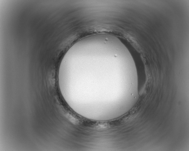 X0000063520402200602101957