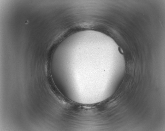 X0000063520404200602101957