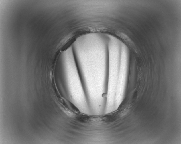 X0000063520405200602101957