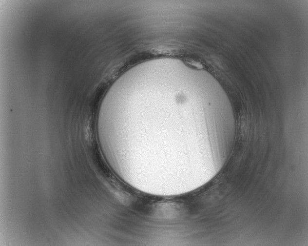 X0000063520408200602101957