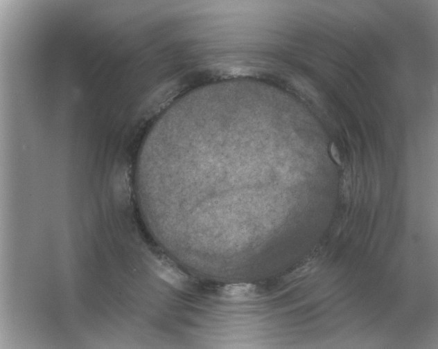 X0000063520410200602101956