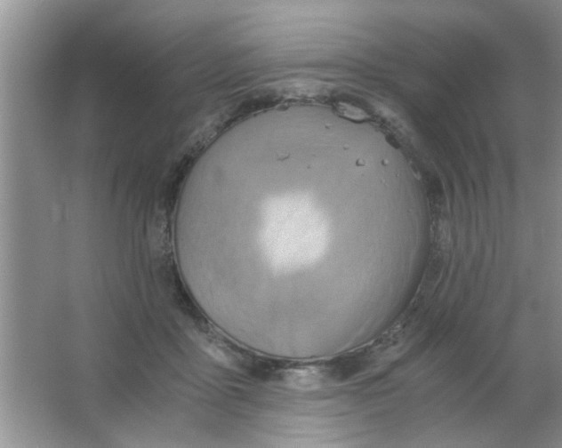 X0000063520411200602101956