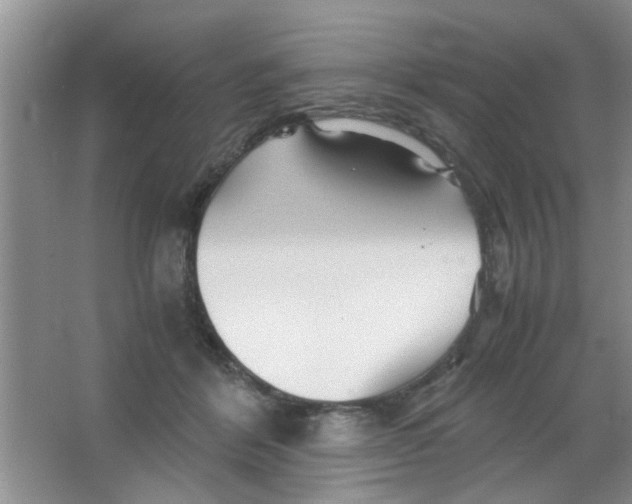 X0000063520412200602101956