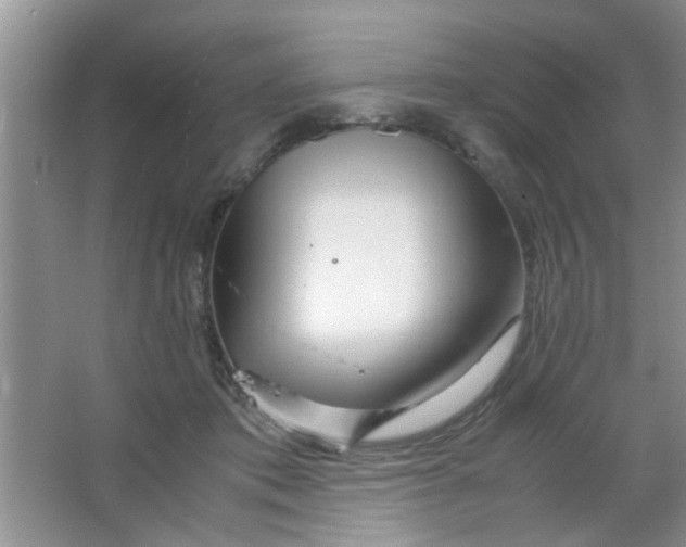 X0000063520413200602101956