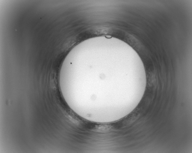 X0000063520414200602101956