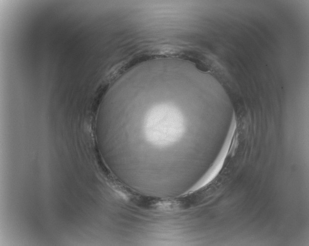 X0000063520415200602101956