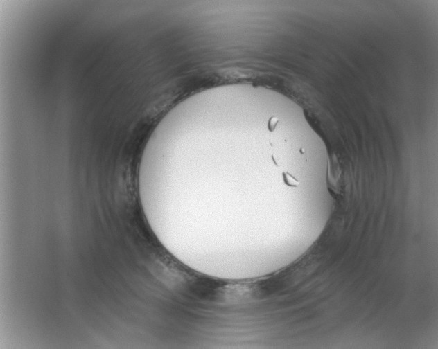 X0000063520418200602101956