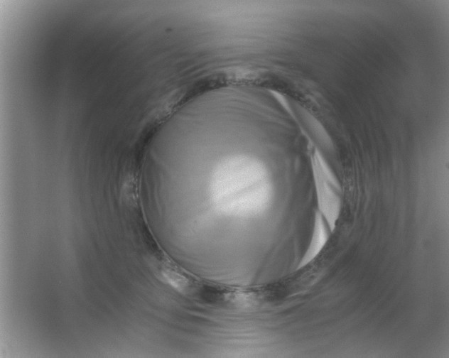 X0000063520419200602101956