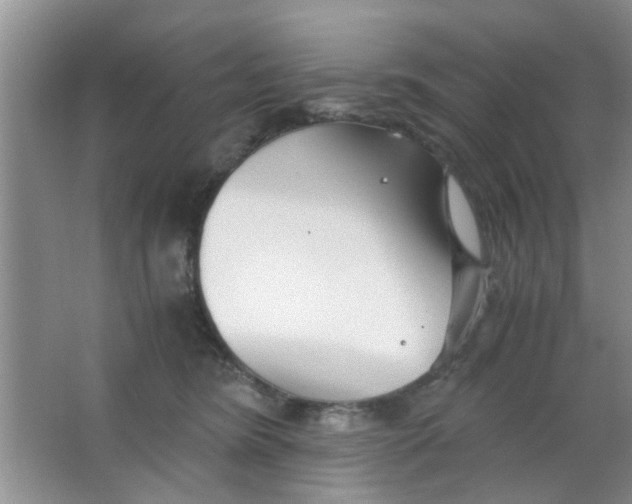 X0000063520420200602101956