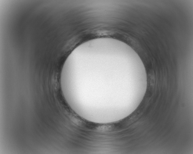 X0000063520422200602101956