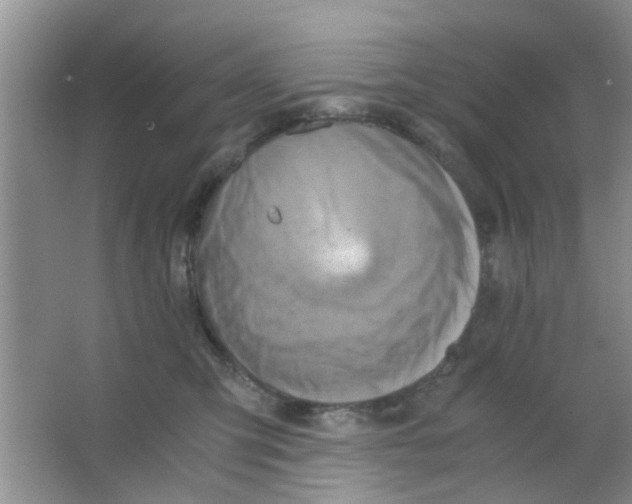 X0000063520423200602101956