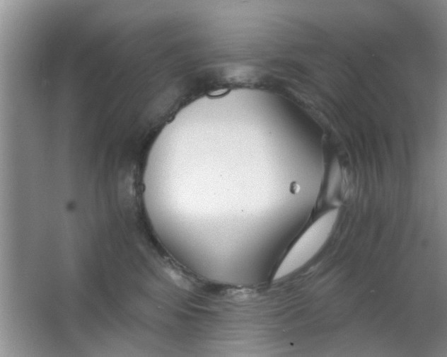 X0000063520424200602101956