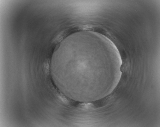 X0000063520427200602101956