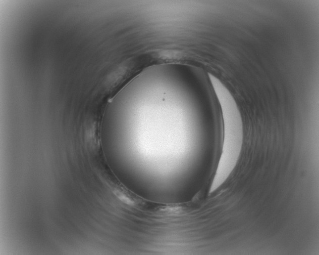 X0000063520428200602101956