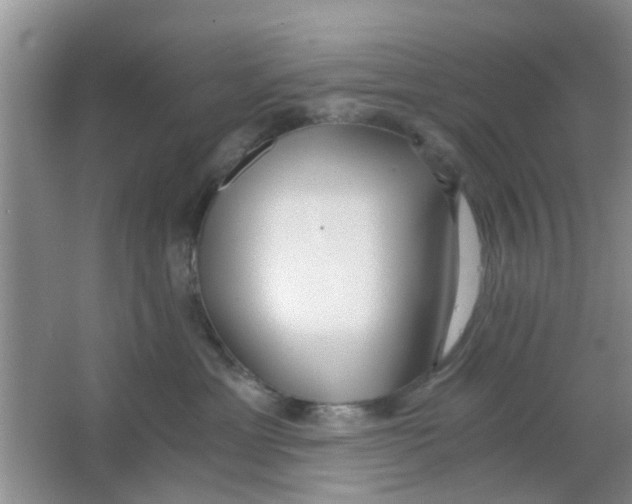 X0000063520429200602101956