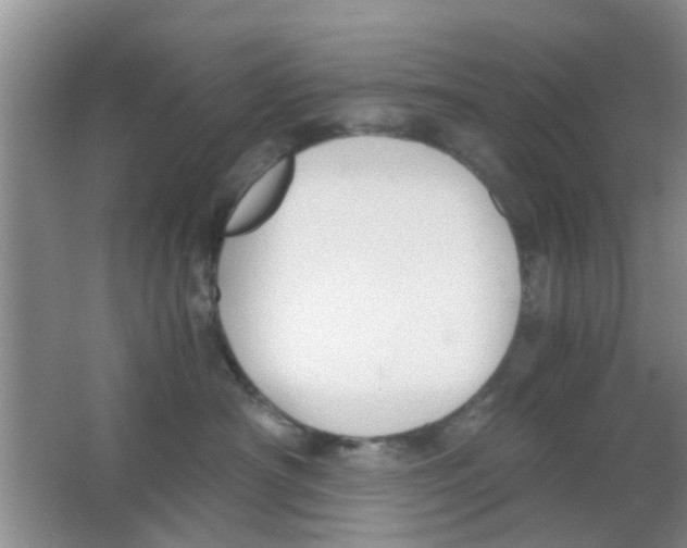 X0000063520430200602101956