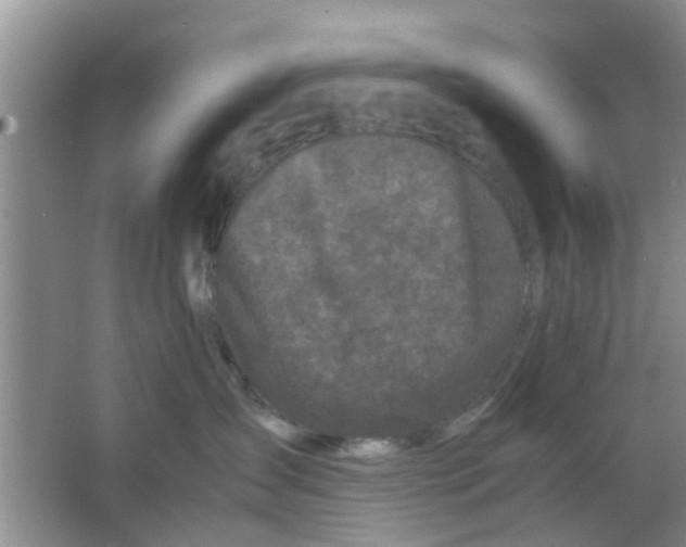 X0000063520431200602101956