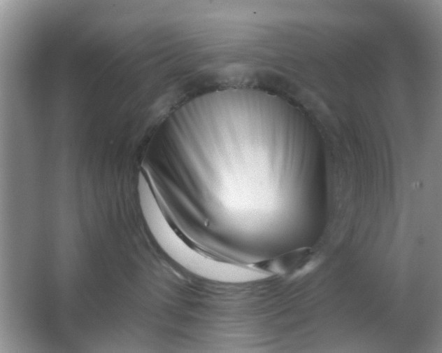 X0000063520432200602101956