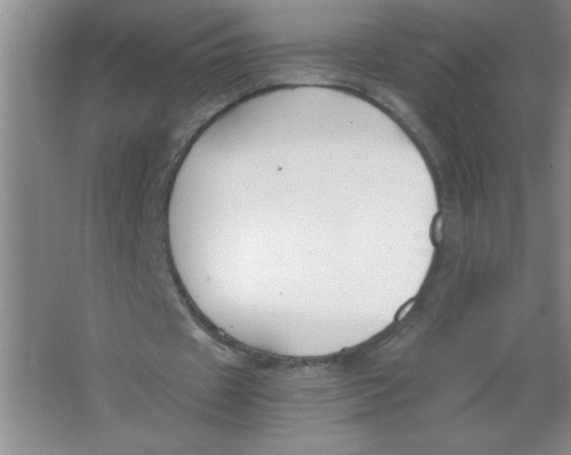 X0000063520433200602101955