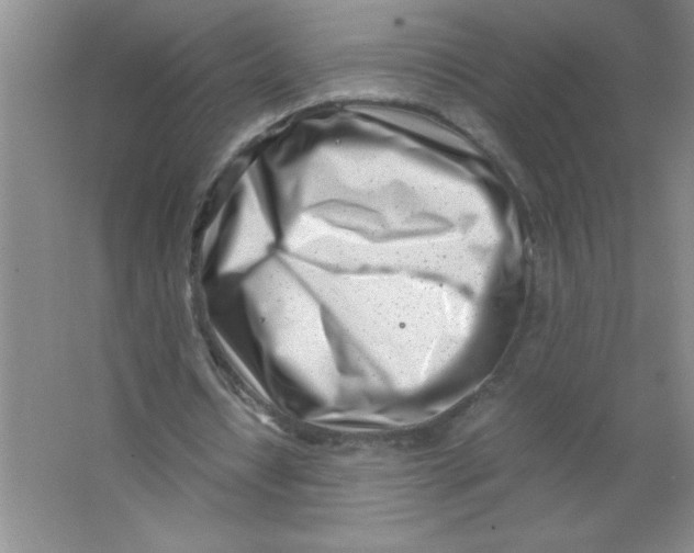 X0000063520434200602101955