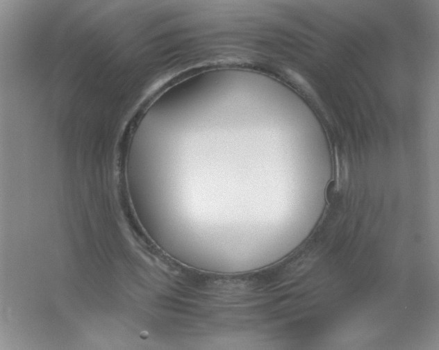 X0000063520435200602101955