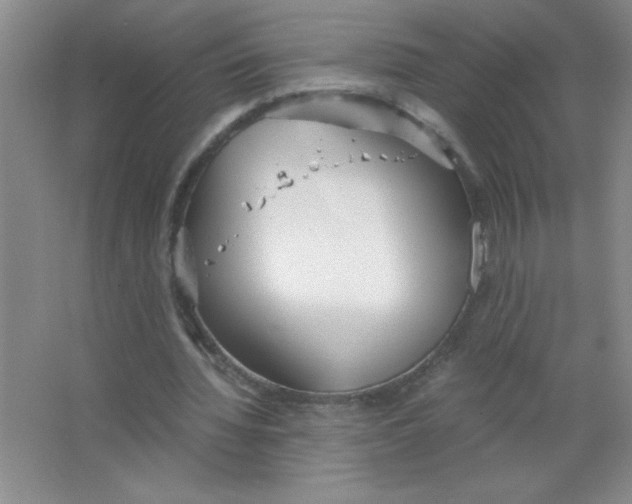 X0000063520436200602101955