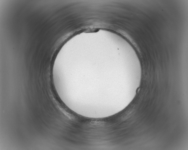 X0000063520437200602101955