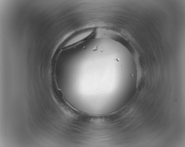 X0000063520440200602101955