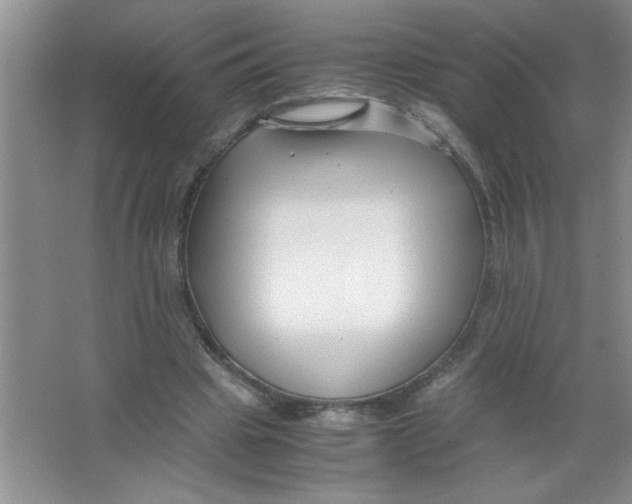 X0000063520441200602101955