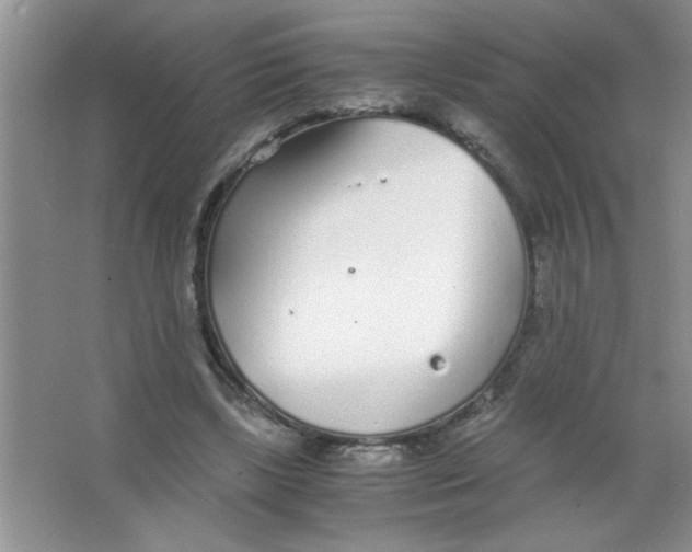 X0000063520443200602101955