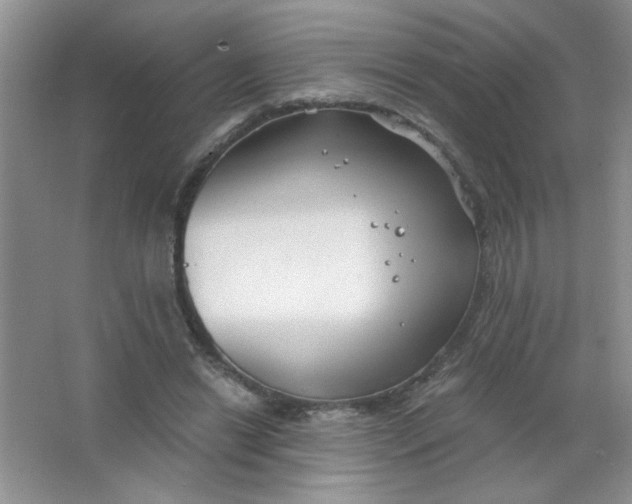 X0000063520446200602101956