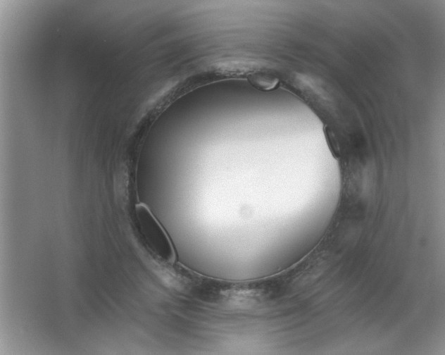 X0000063520448200602101956