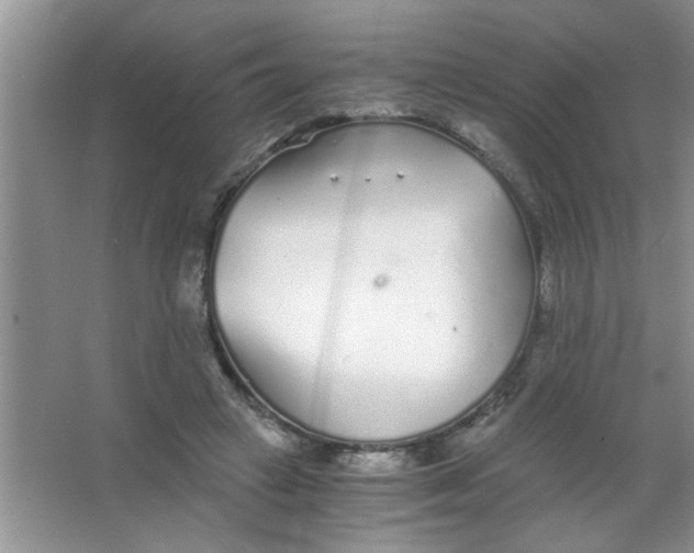 X0000063520449200602101956