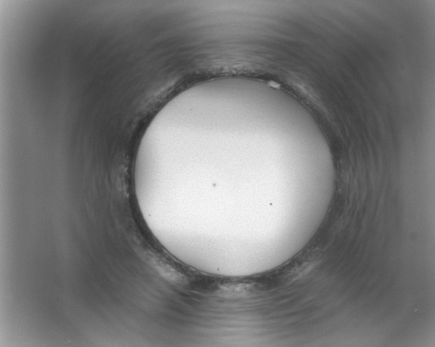 X0000063520450200602101956